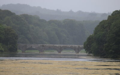 Einander Brücke sein