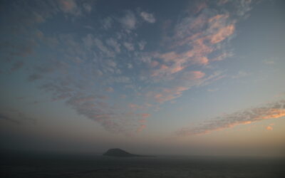 YNYS ENLLI