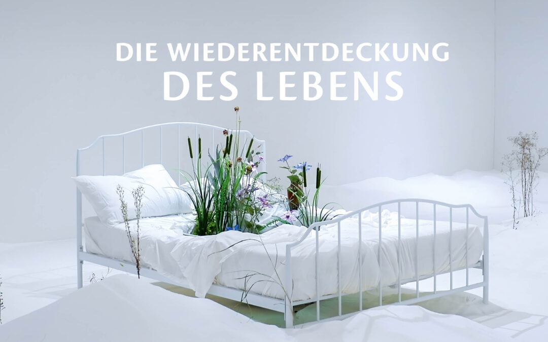 Neu erschienen evolve 46: Die Wiederentdeckung des Lebens: Einsichten der neuen Biologie